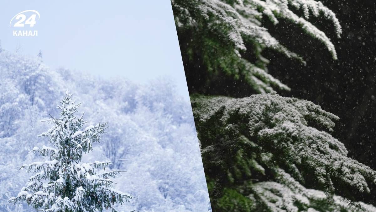Прогноз погоди на 1 лютого 2026 року - 24 Канал