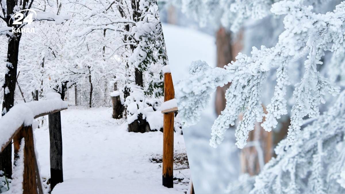 Снег в Украине - 24 Канал Снег в Украине - 24 Канал