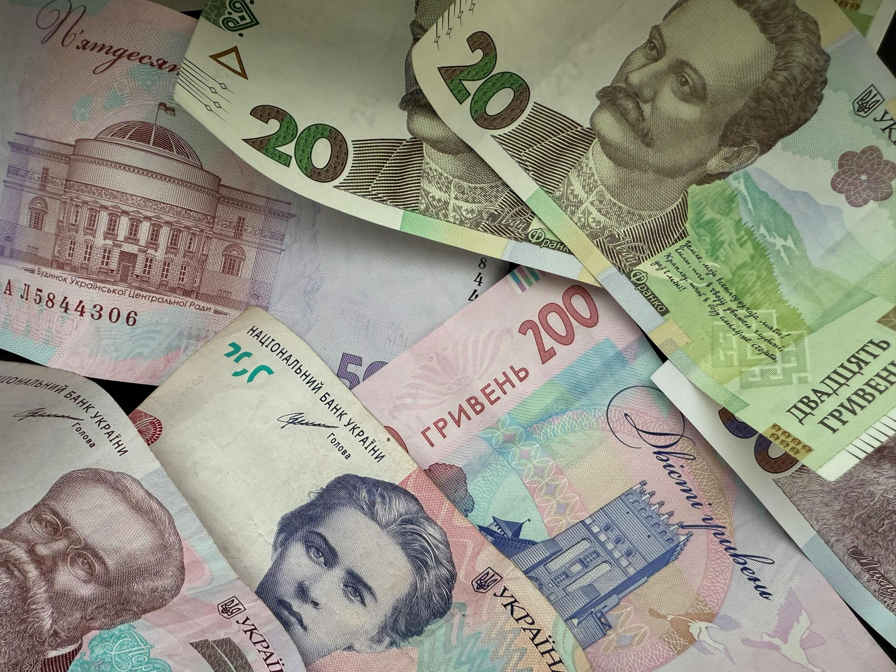 Звідки до бюджету України надходило найбільше грошей - які галузі сплатили багато податків