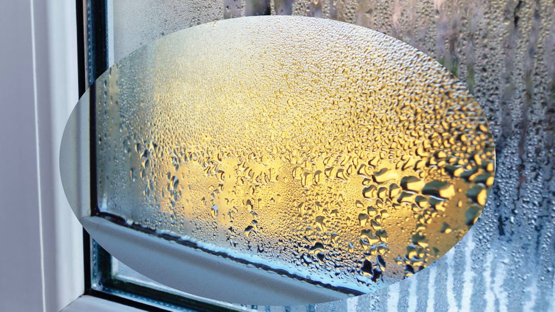 Конденсат на окнах можно убрать за считанные минуты