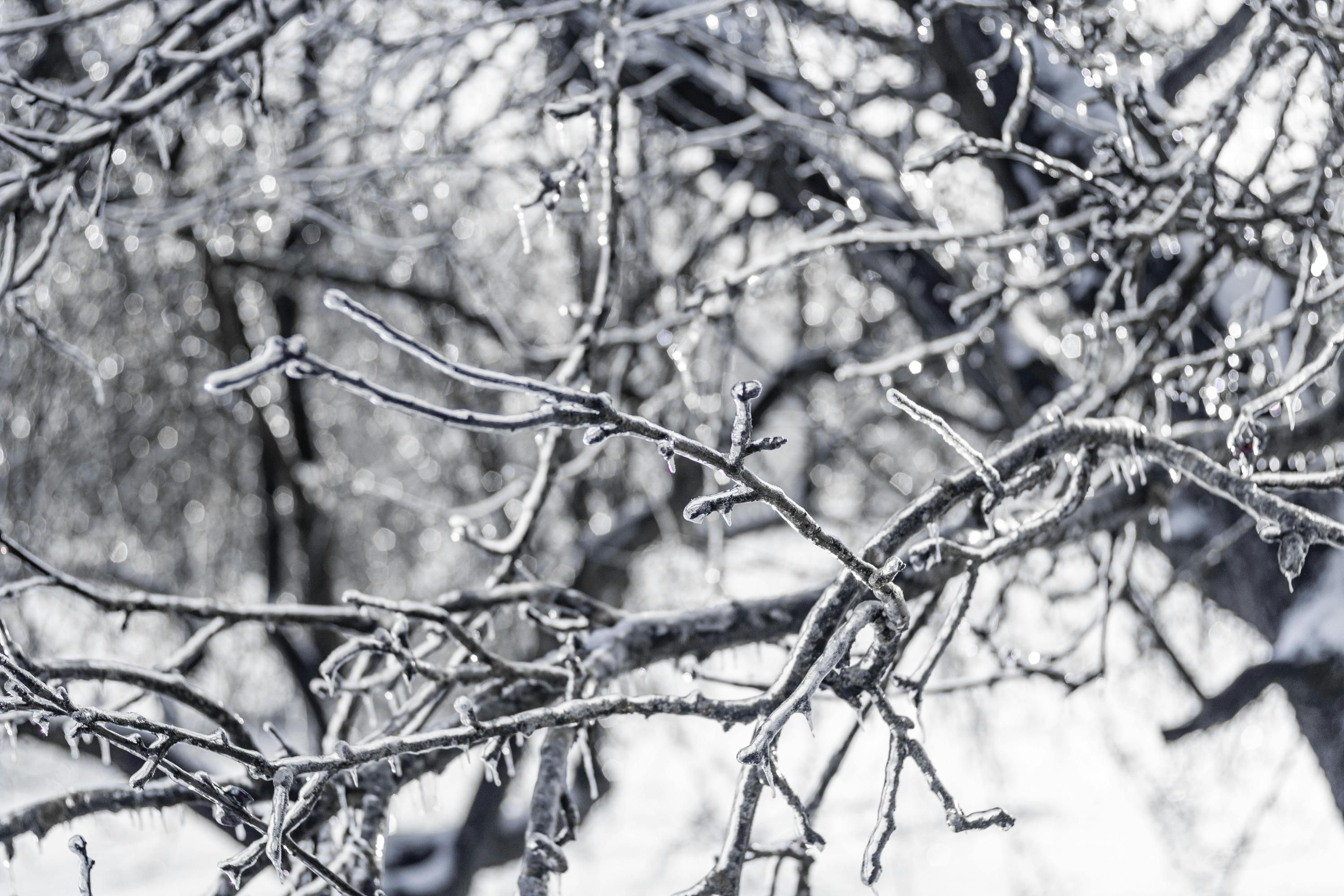 В Польше предупреждают о самой холодной ночи в этом году В Польше предупреждают о самой холодной ночи в этом году
