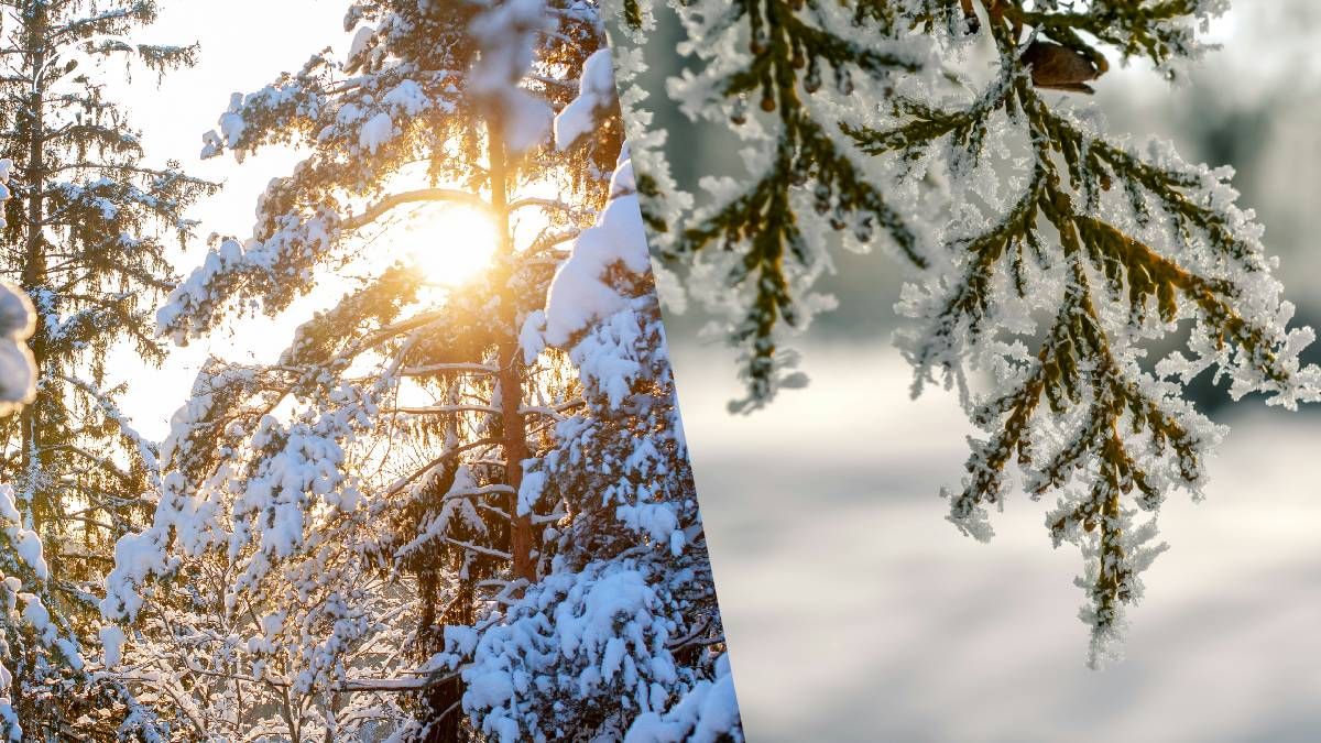 Прогноз погоды в Украине на неделю - 24 Канал