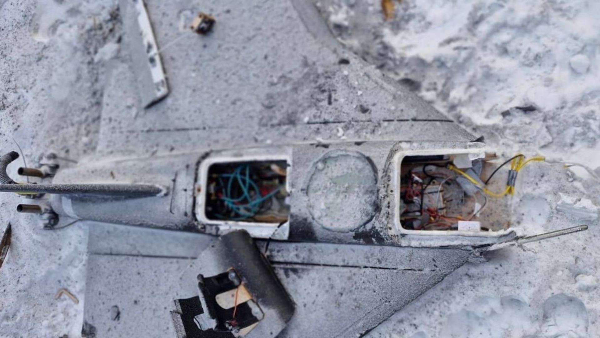 Россия впервые использовала БПЛА "Гербера" как носитель FPV-дрона: в чем опасность - 24 Канал