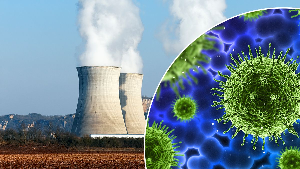 Бактерії у воді реактора Фукусіма вижили й можуть роз'їдати метал Бактерії у воді реактора Фукусіма вижили й можуть роз'їдати метал