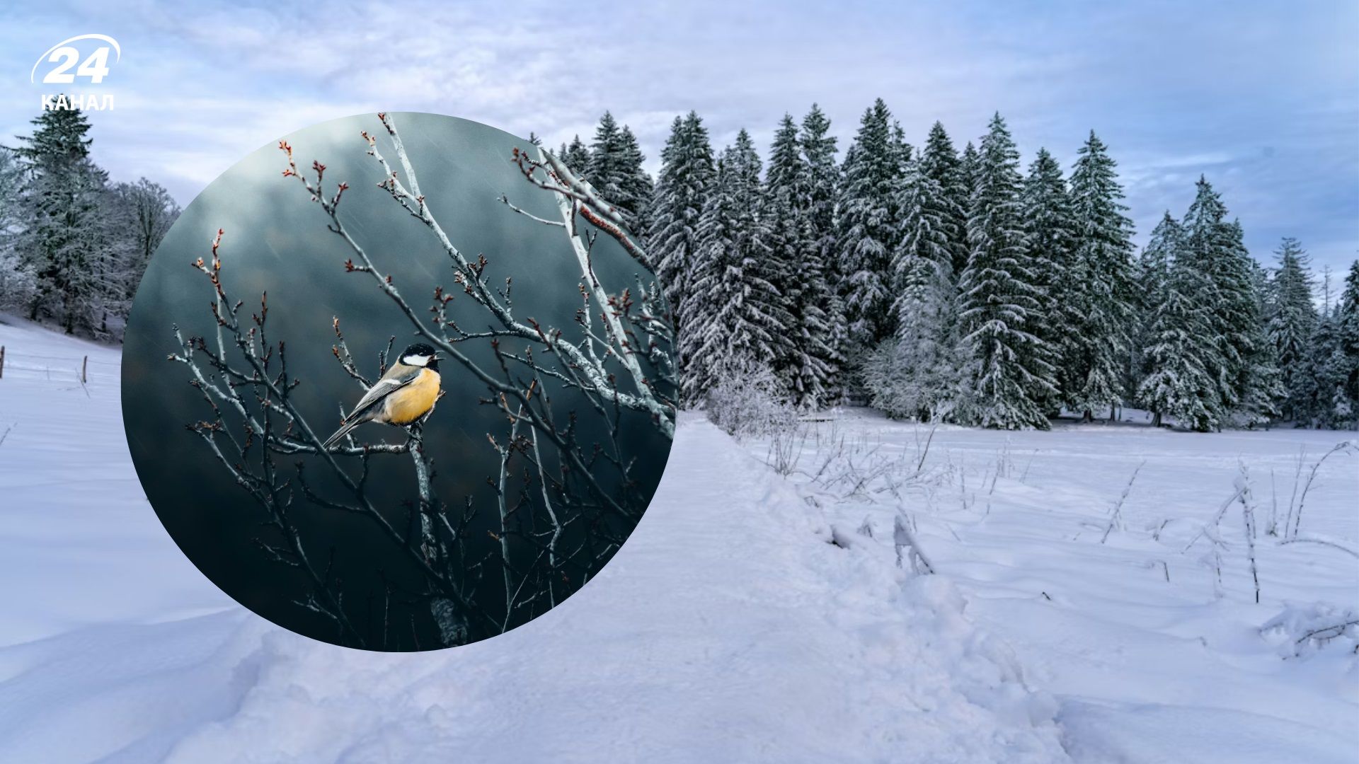 Погода на 5 лютого - 24 Канал