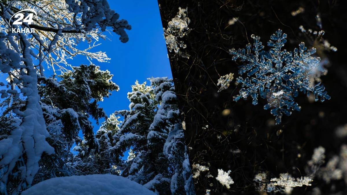 Снег в Украине - 24 Канал Снег в Украине - 24 Канал