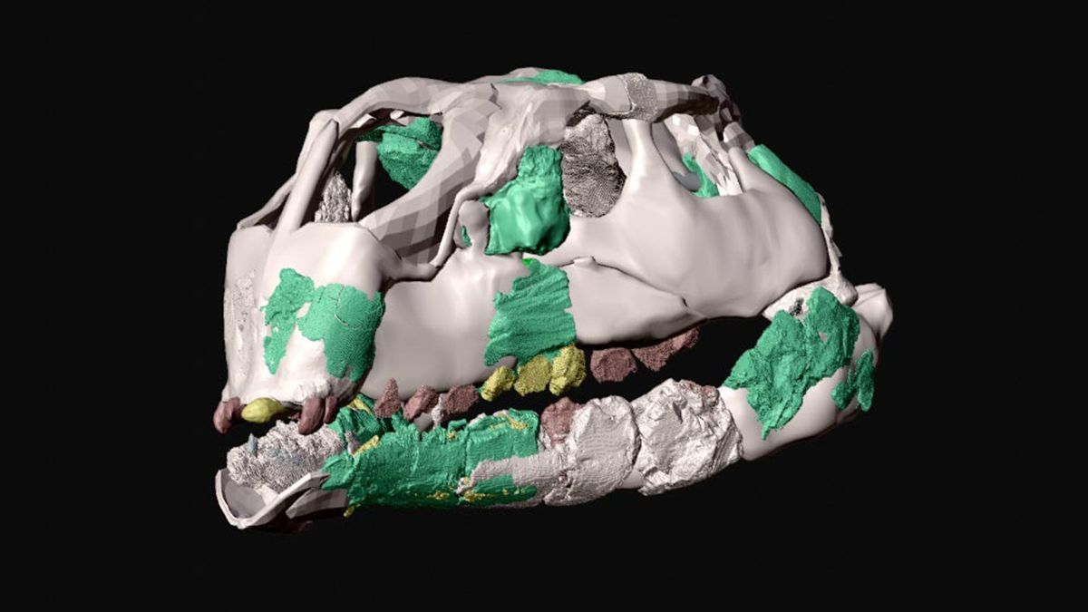 Новий вид динозавра змінює уявлення про еволюцію малих форм Новий вид динозавра змінює уявлення про еволюцію малих форм