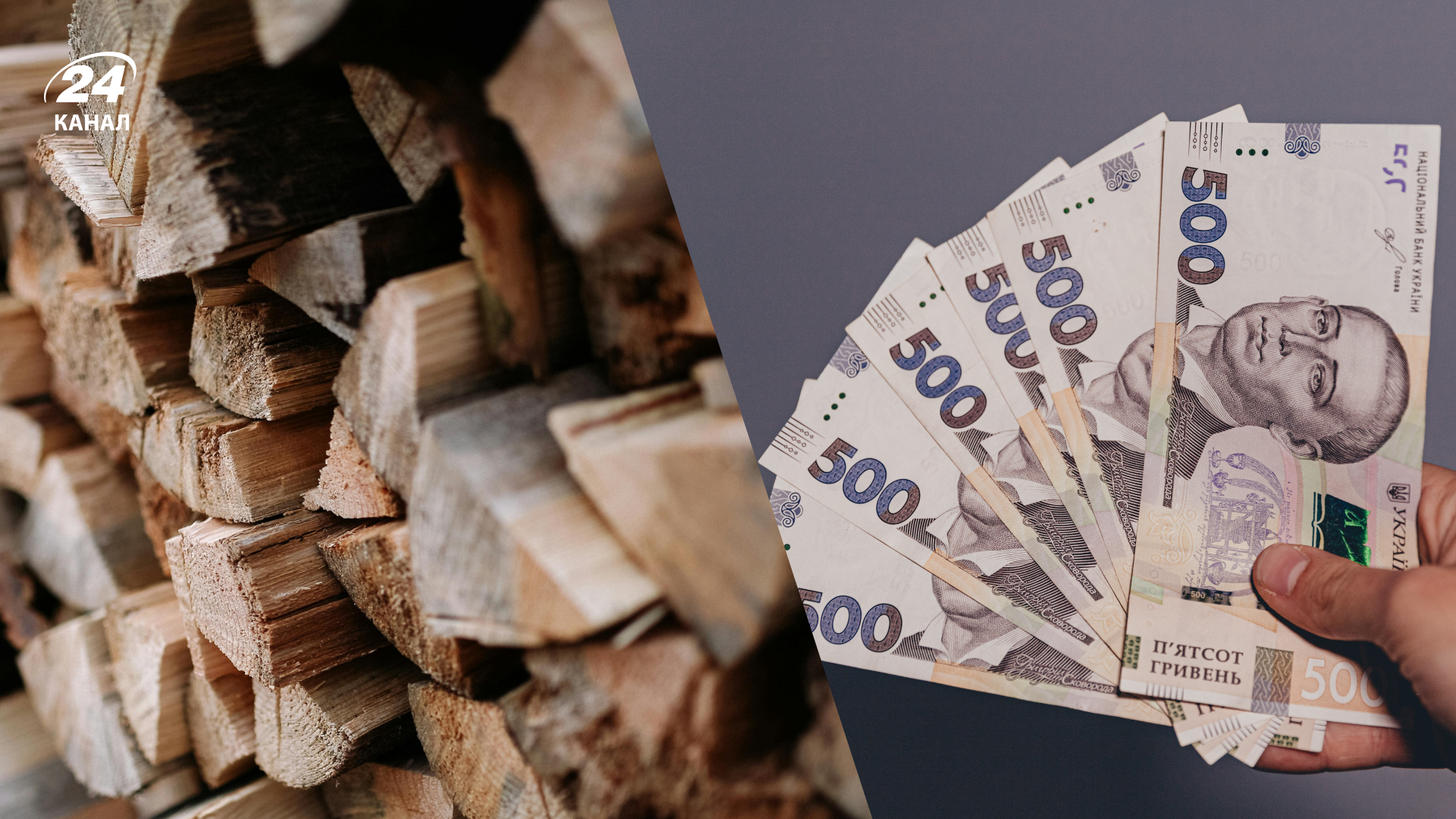 Не только пенсионеры: кто может получить деньги на дрова в 2026 году - Агро 24