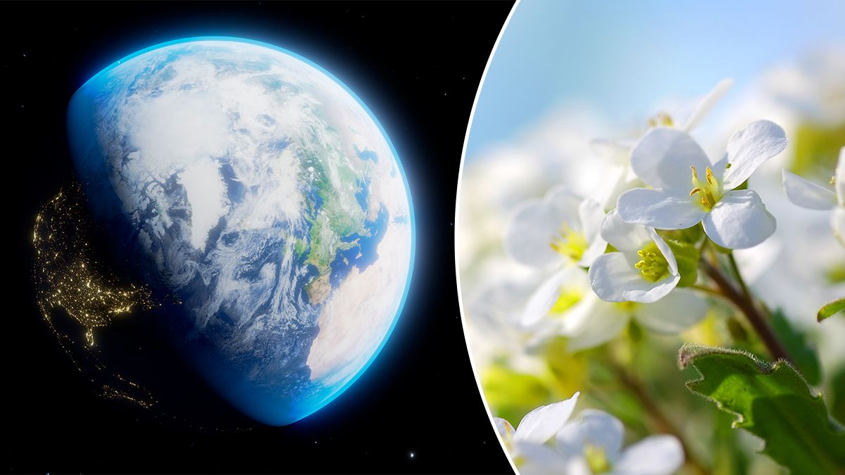 Весеннее равноденствие в Украине 2026 – точная дата и что оно означает