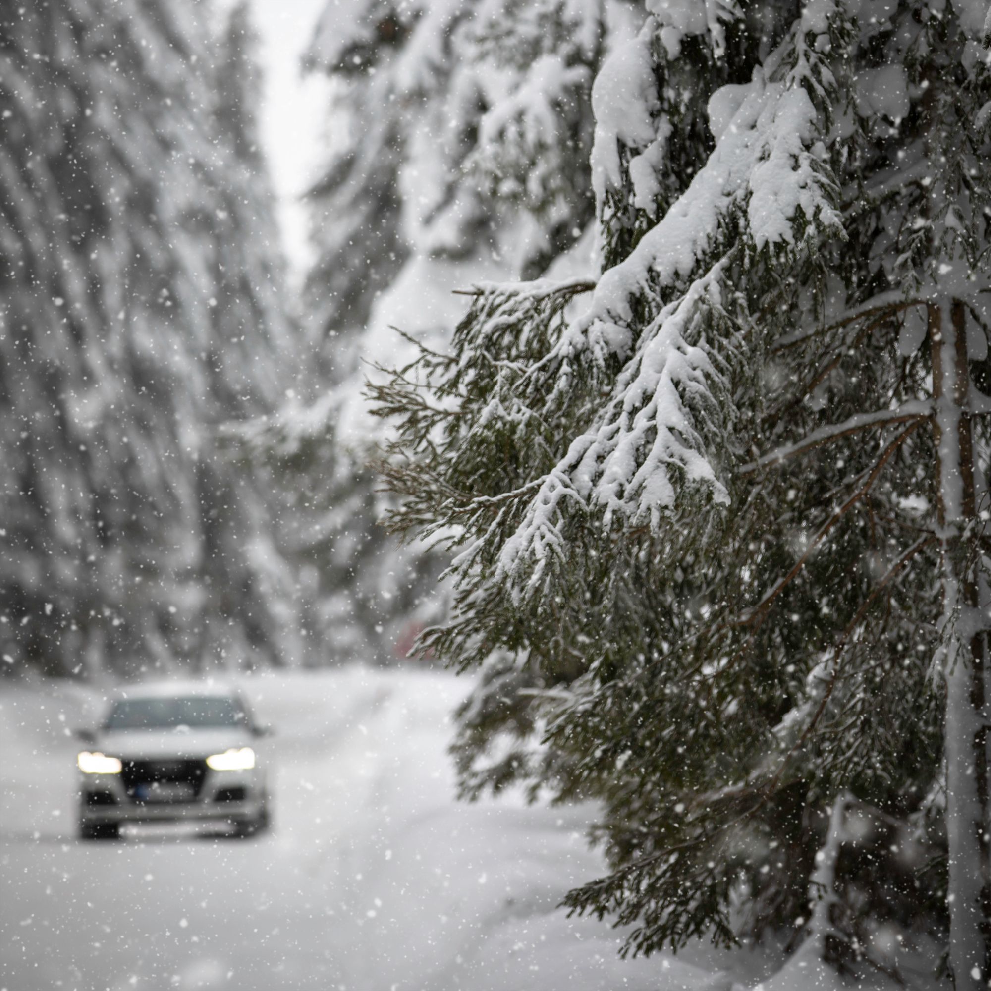 Погода на выходных в Украине будет с осадками Погода на выходных в Украине будет с осадками