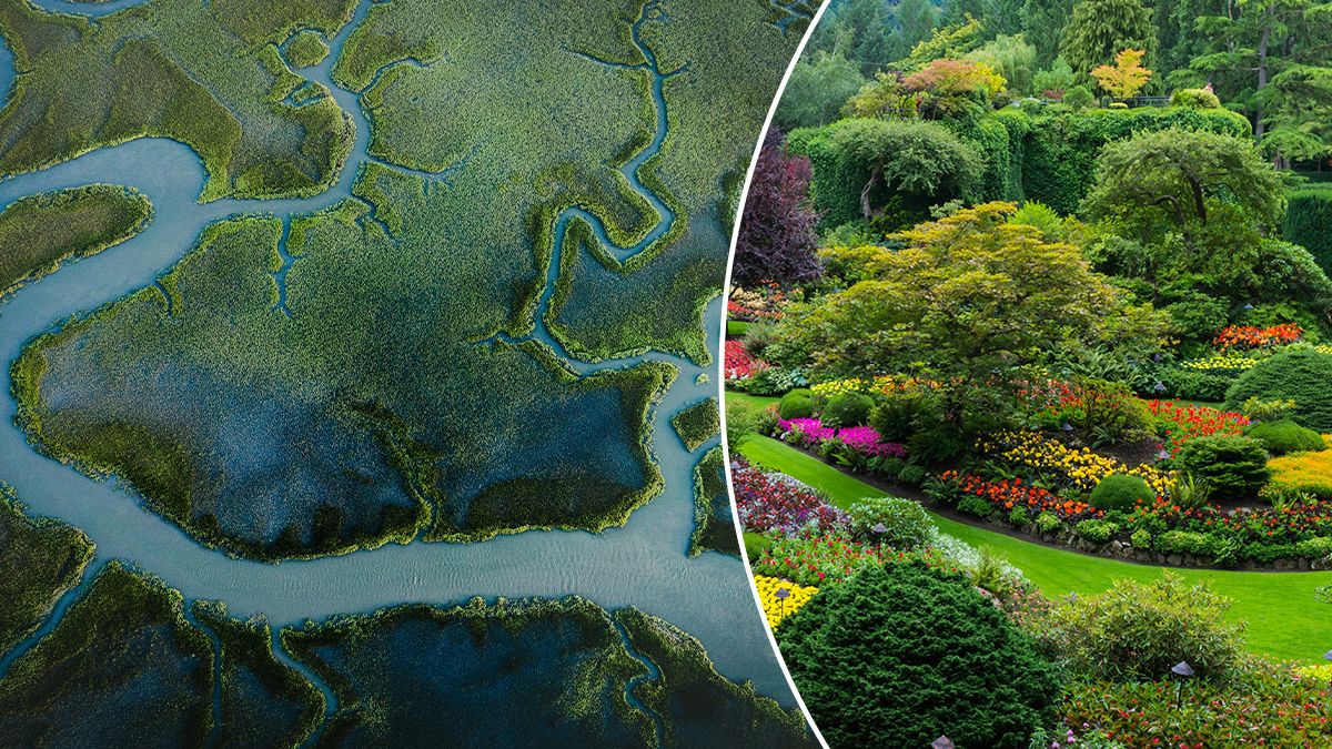 Біблійні річки Едему знайшли на супутникових знімках Близького Сходу