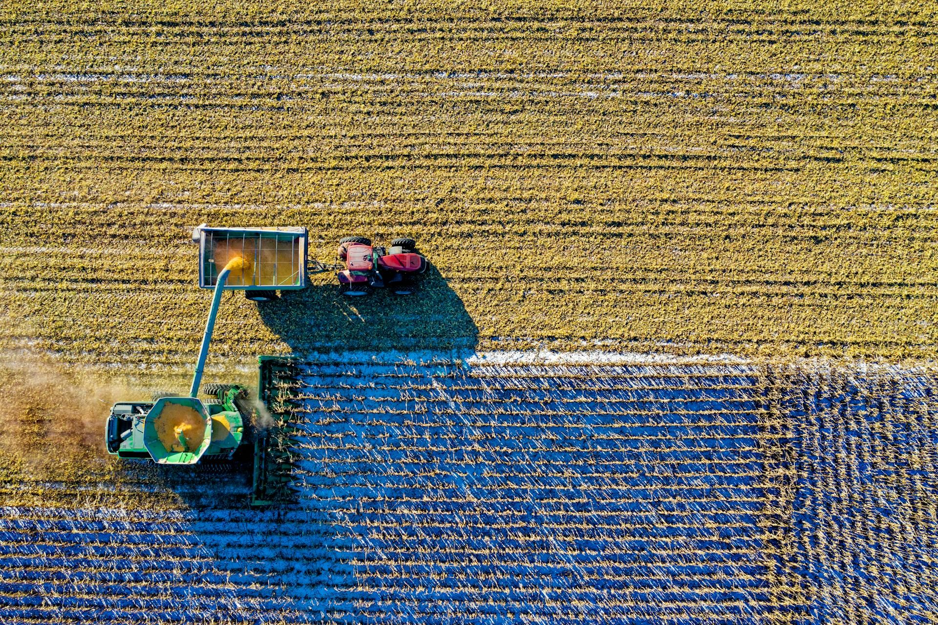 Експорт 2025: якої агропродукції Україна експортує найбільше - Агро 24 Експорт 2025: якої агропродукції Україна експортує найбільше - Агро 24
