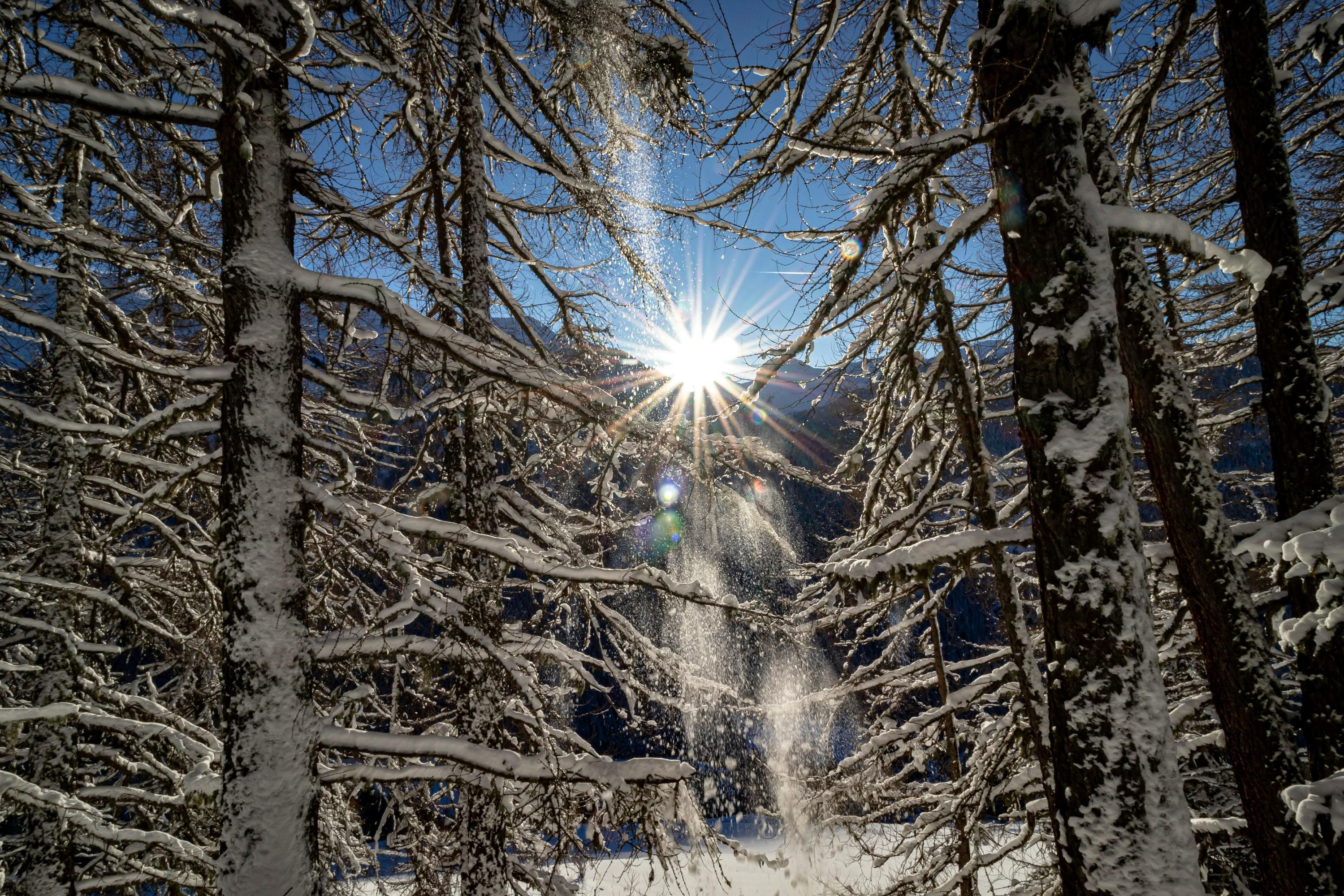 В Україні потеплішає у другій половині тижня - 24 Канал