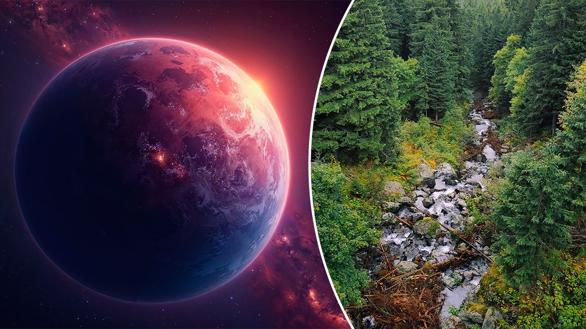 Життя за інших планетах залежить від випадковості в процесі формування ядра