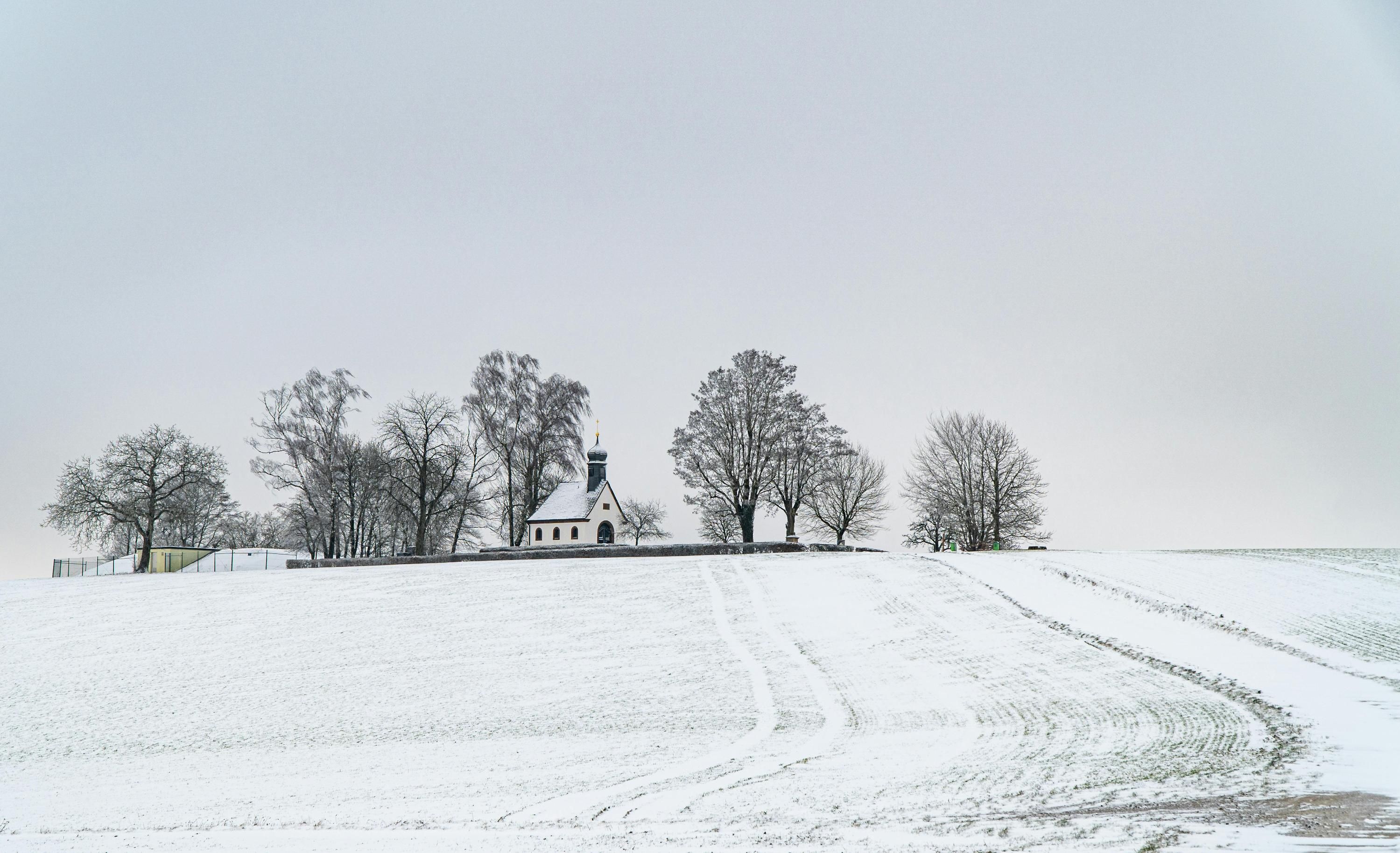 Ошибки при регистрации земли