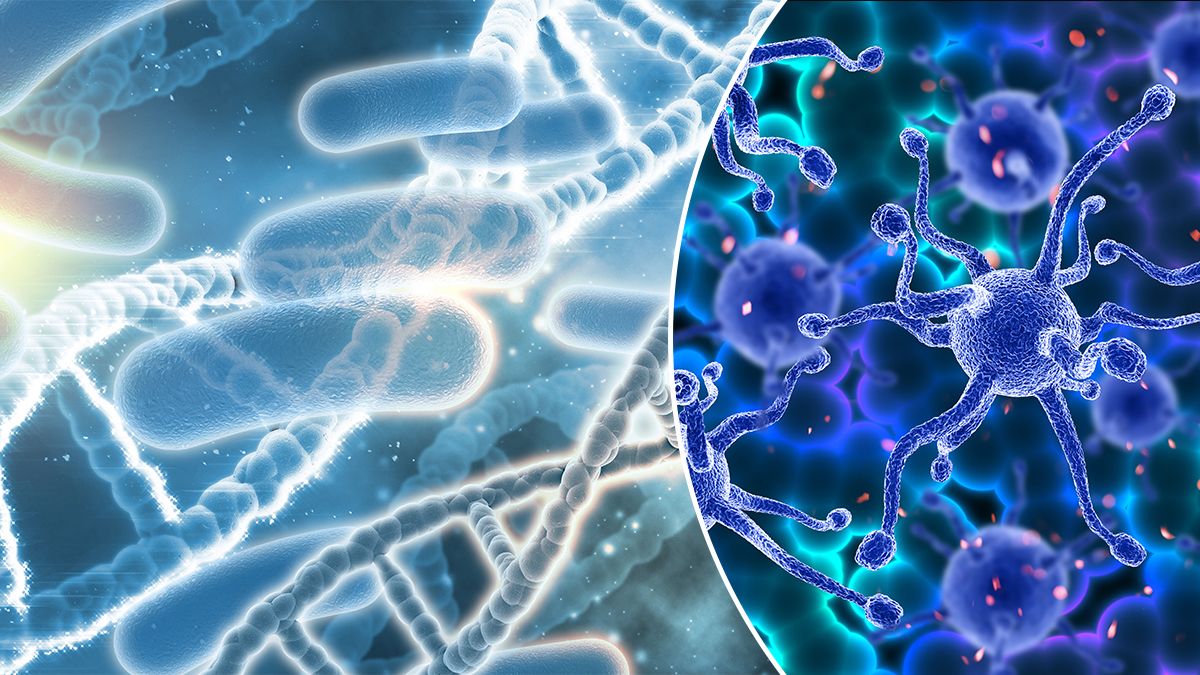Происхождение жизни на Земле – ученые обнаружили гены, старше самого первого организма
