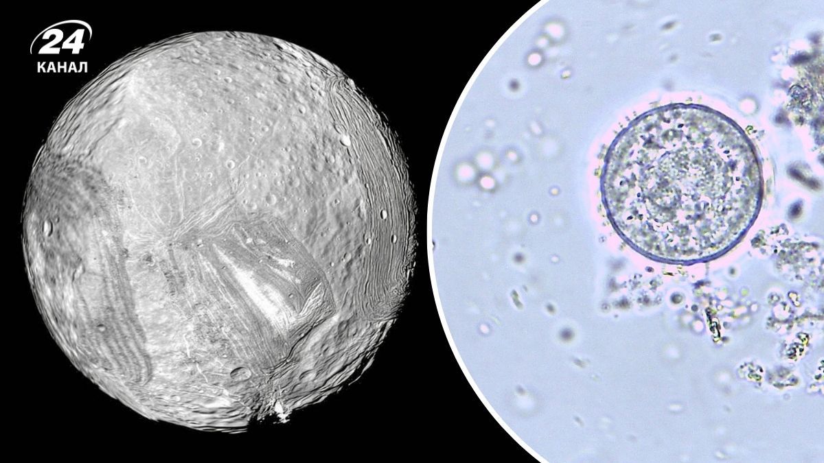 Ученые нашли новое место для поиска жизни в космосе