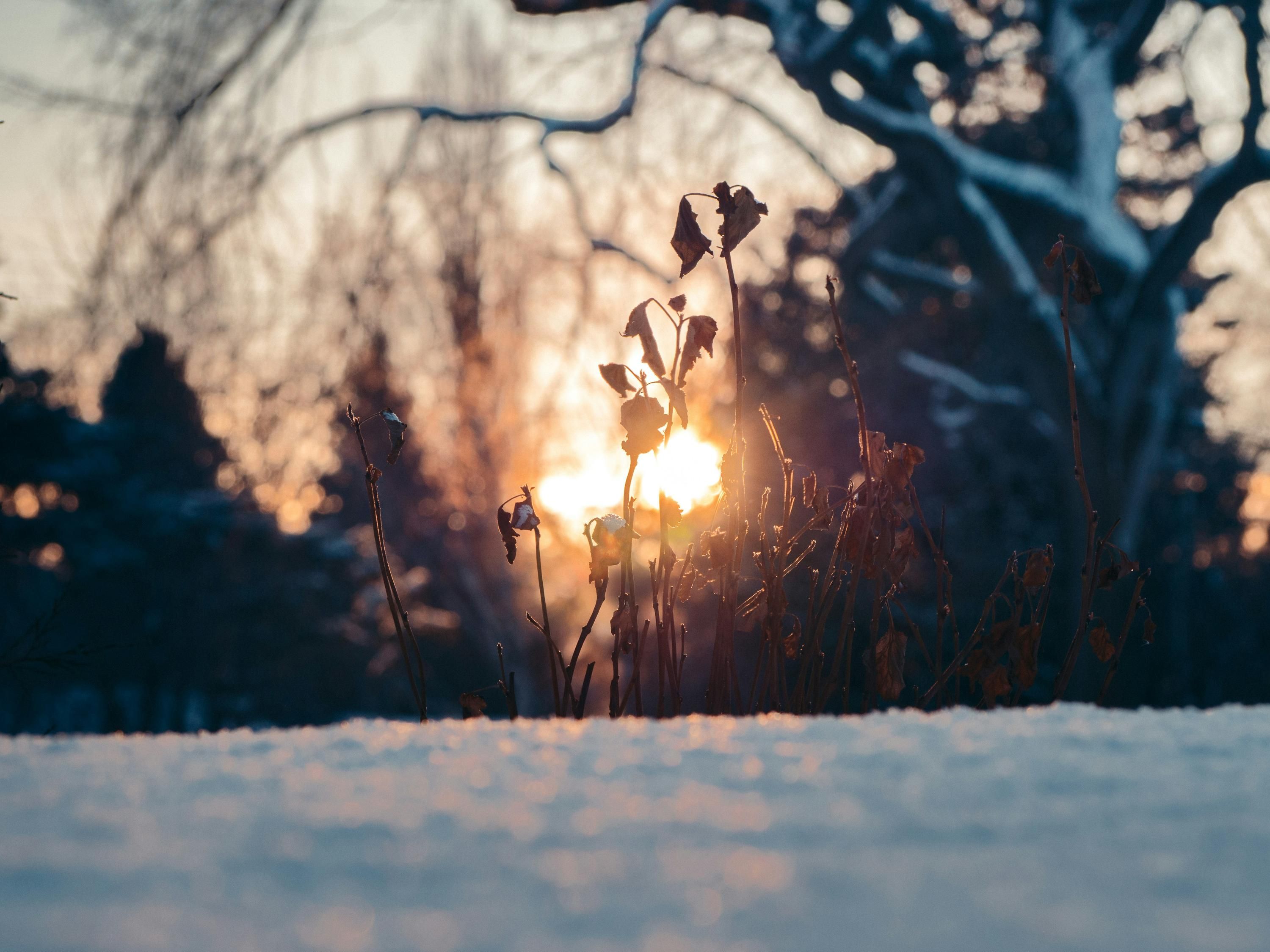 Прогноз погоды в Украине на 12 февраля 2026 года