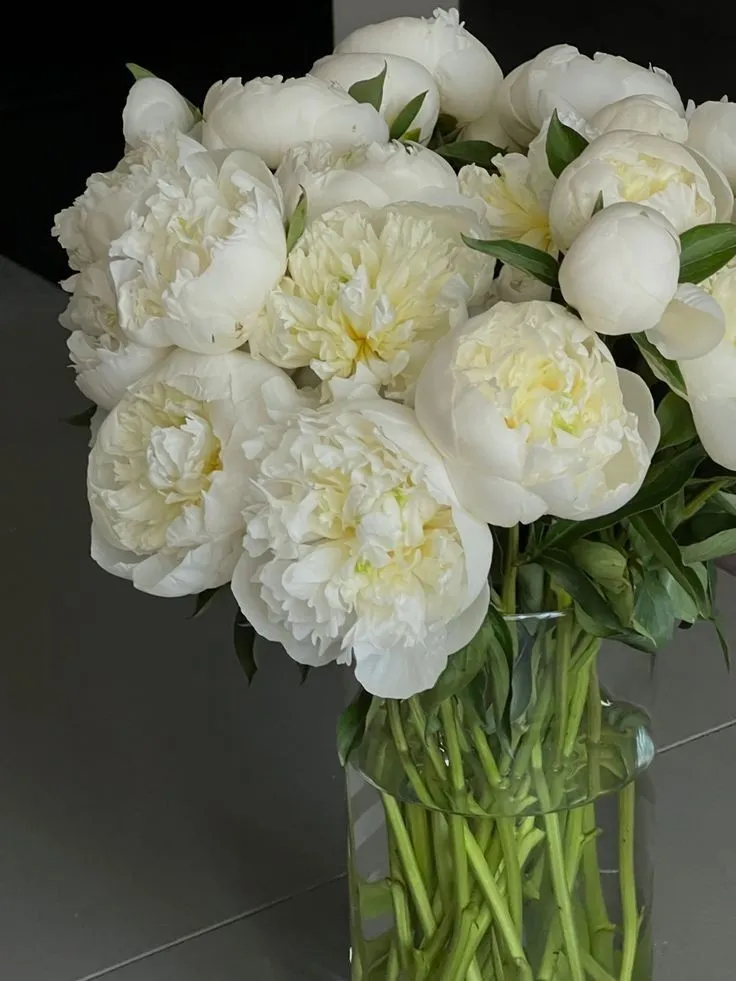 Цветы на День Валентина / Фото Pinterest Цветы на День Валентина / Фото Pinterest
