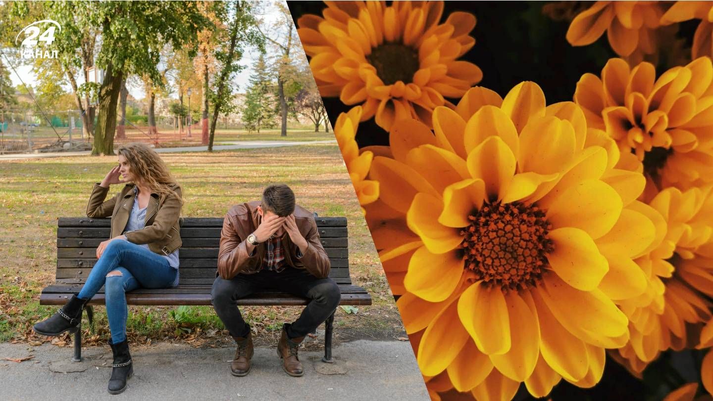 жовті квіти - Тренди жовті квіти - Тренди