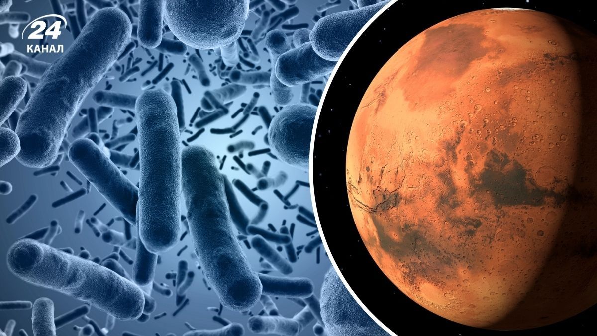 Похоже Viking таки нашел жизнь на Марсе в 1976 году Похоже Viking таки нашел жизнь на Марсе в 1976 году