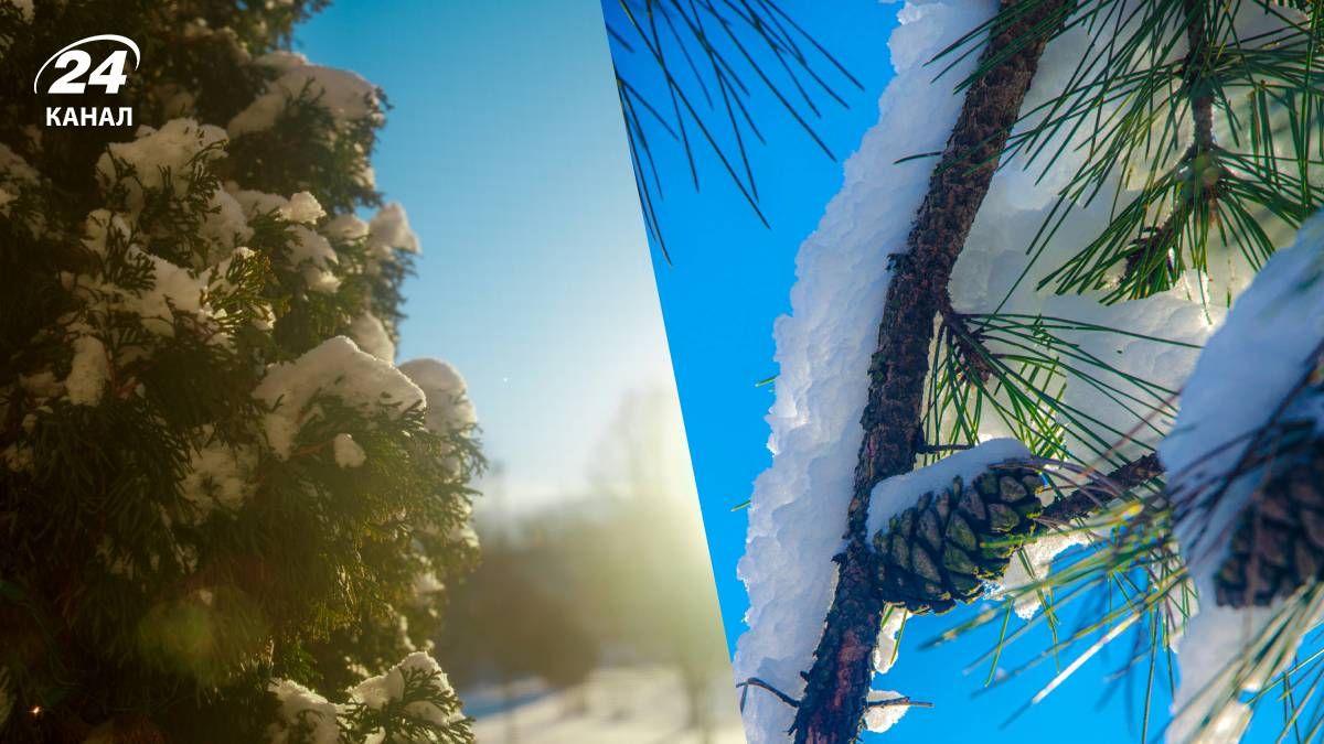 Прогноз погоди в Україні на 14 та 15 лютого - 24 Канал