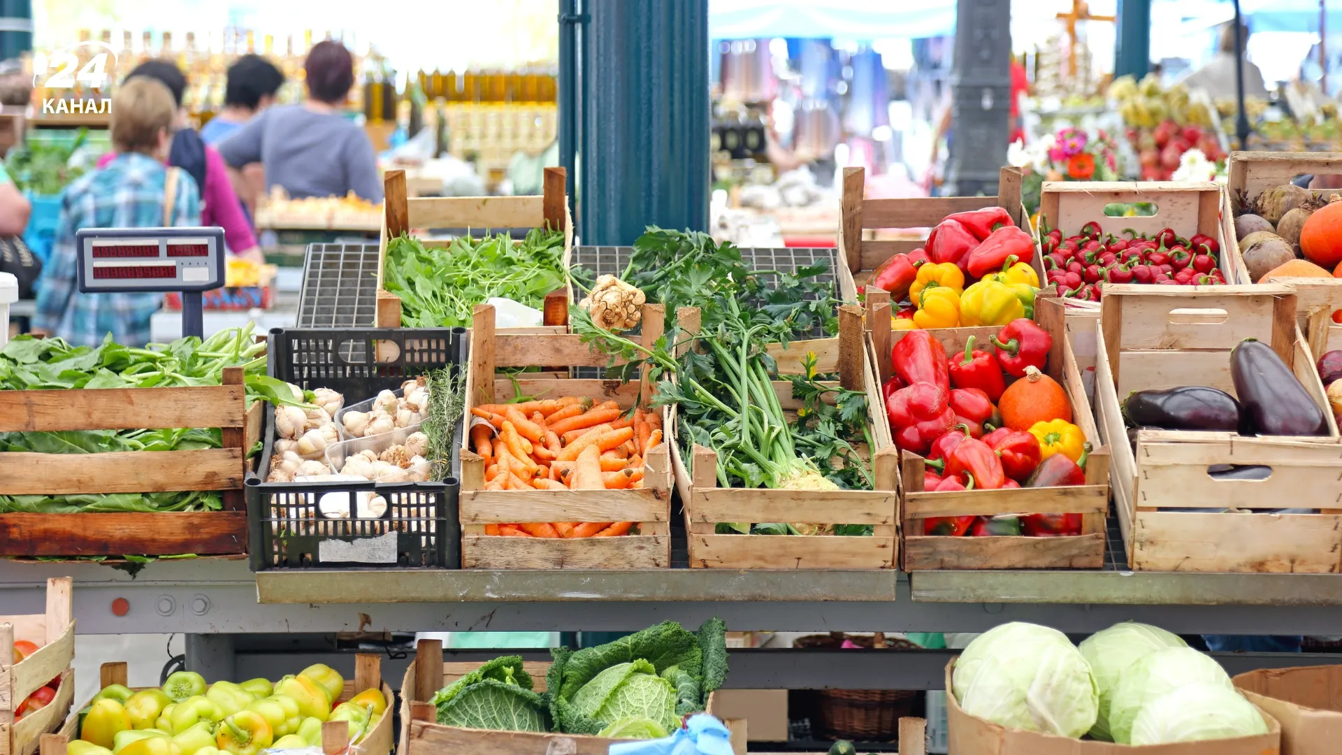 Великі ціни на продукти в Австралії / фото Canva Великі ціни на продукти в Австралії / фото Canva