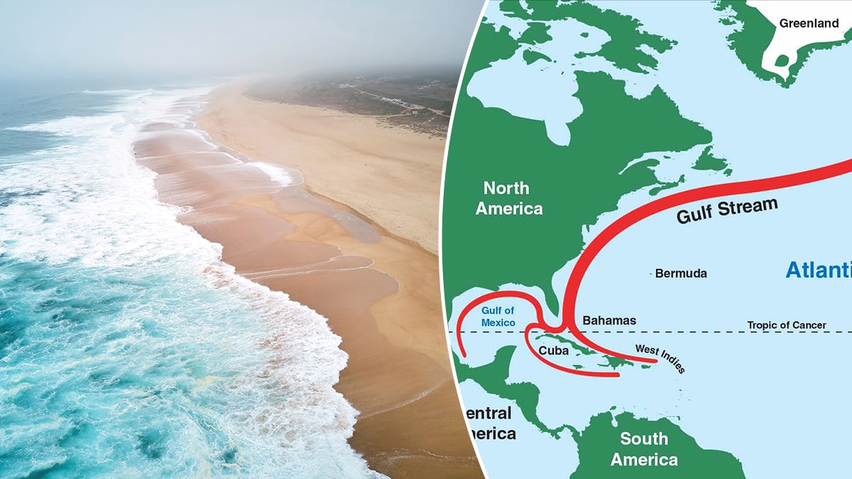 Соленость океана уменьшается на 30 процентов и угрожает системе течений океана