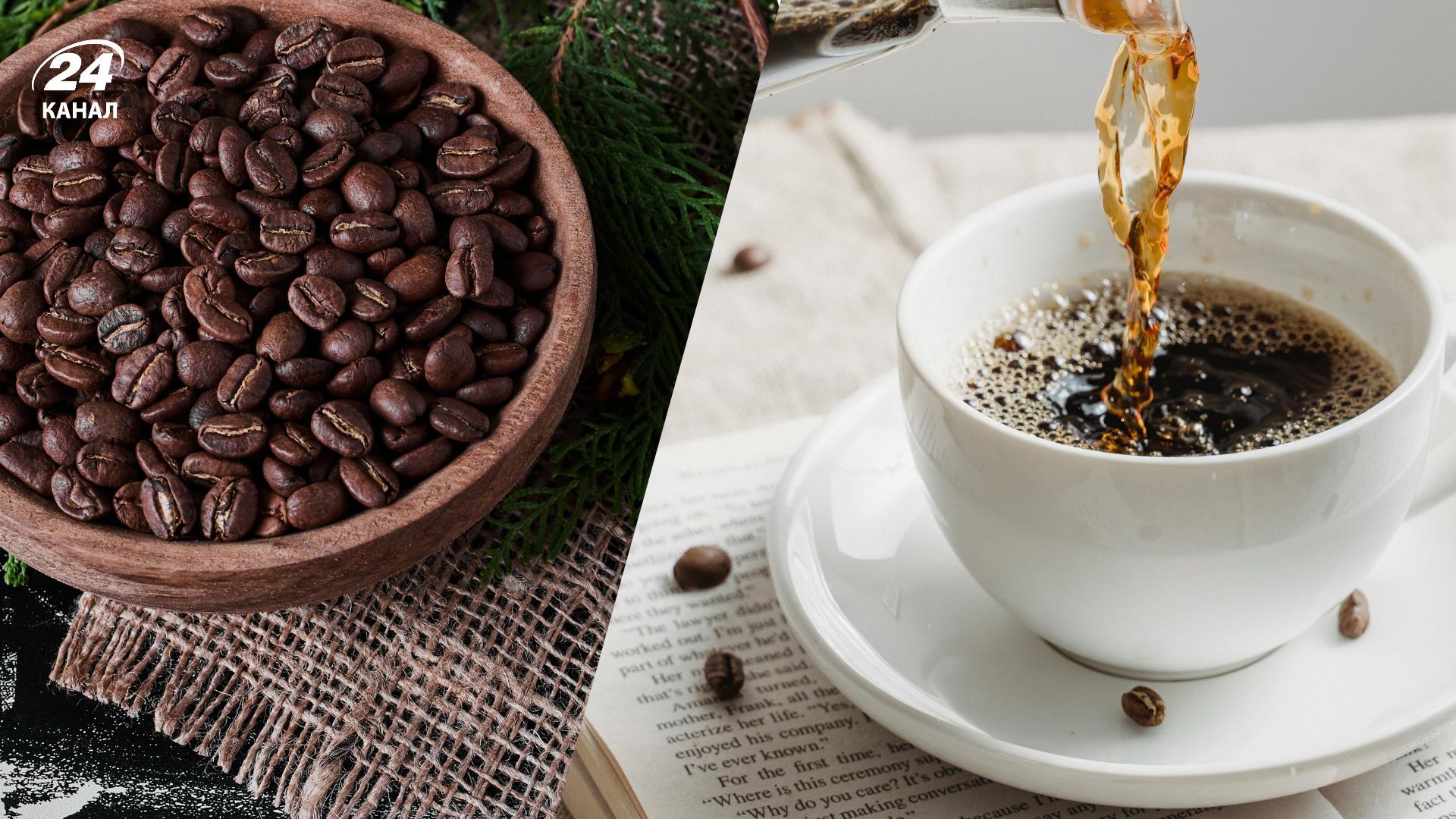 Дізнайтеся скільки кавових зерен дає одне дерево