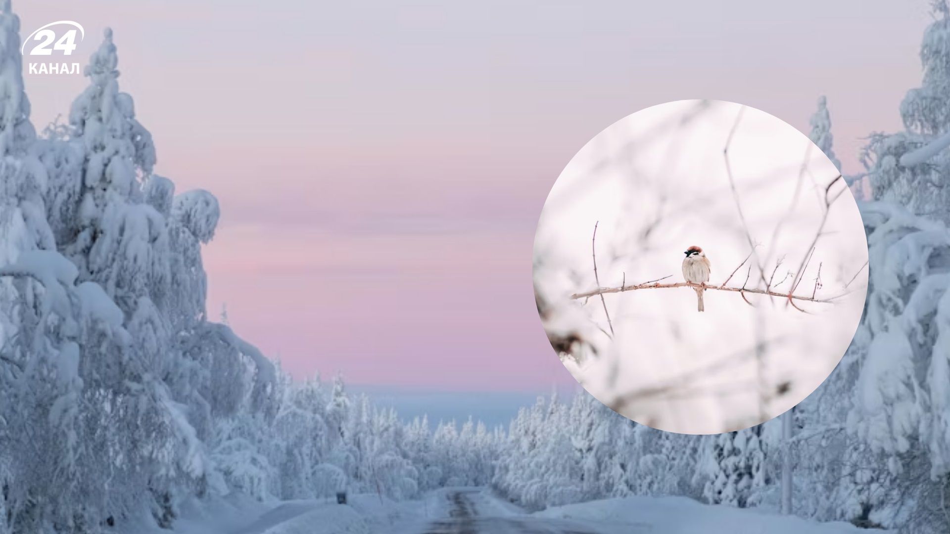 Погода на 17 лютого - 24 Канал