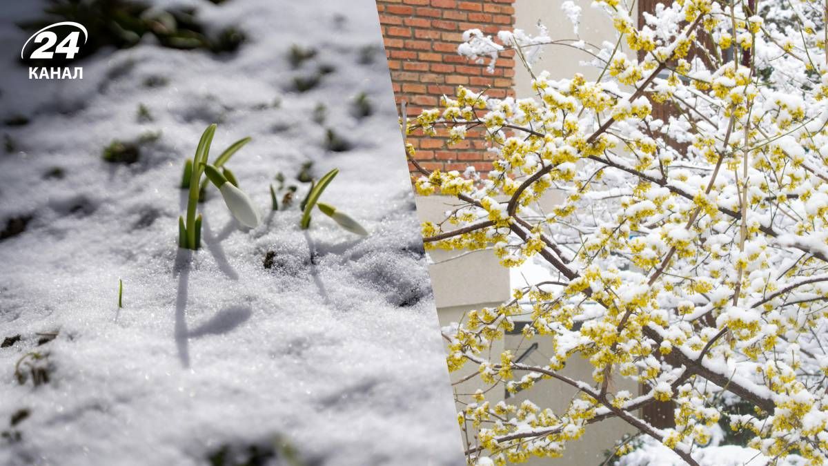 Резко потепления в Украине пока не предвидят - 24 Канал Резко потепления в Украине пока не предвидят - 24 Канал