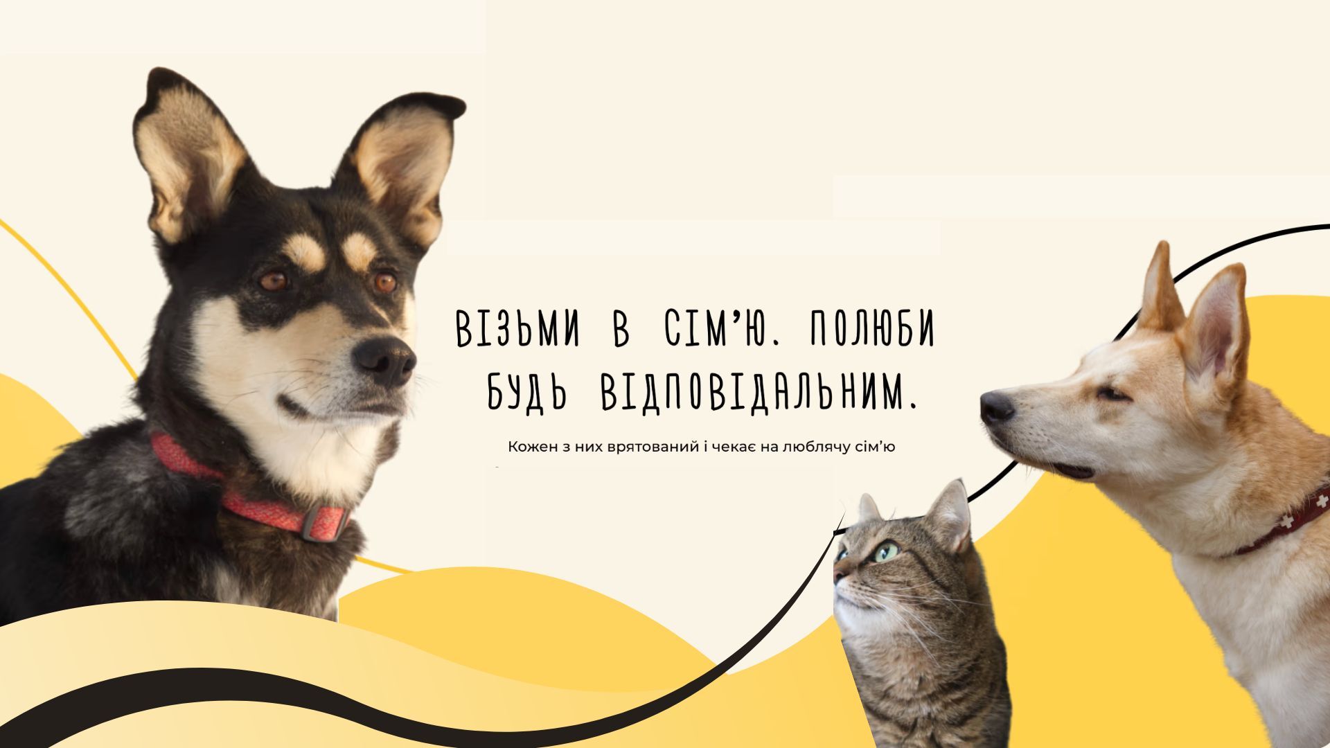 В Україні з’явився застосунок притулку "Домівка домашніх тварин" В Україні з’явився застосунок притулку "Домівка домашніх тварин"