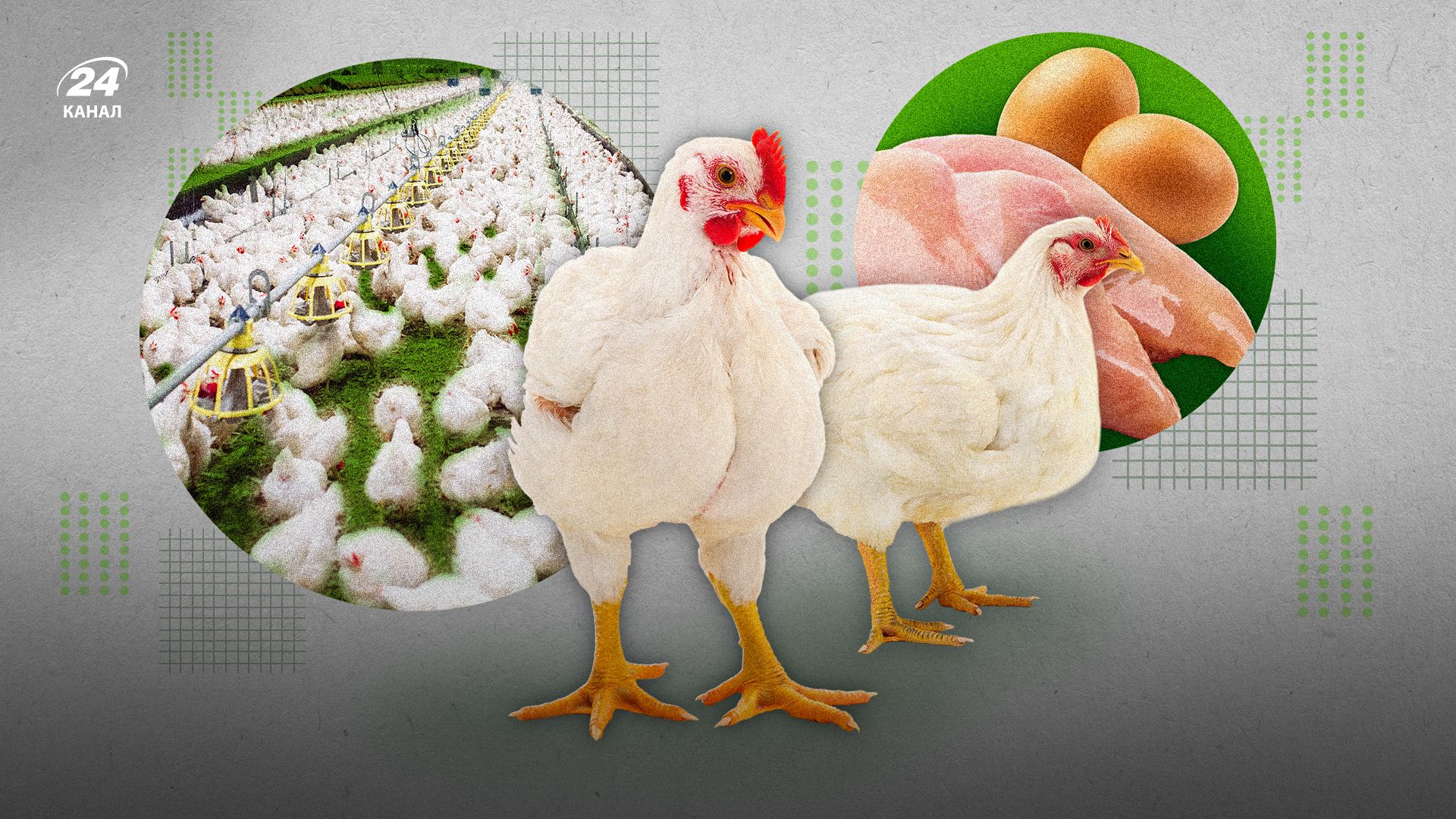 Чи злетять ціни на яйця та курятину в Україні