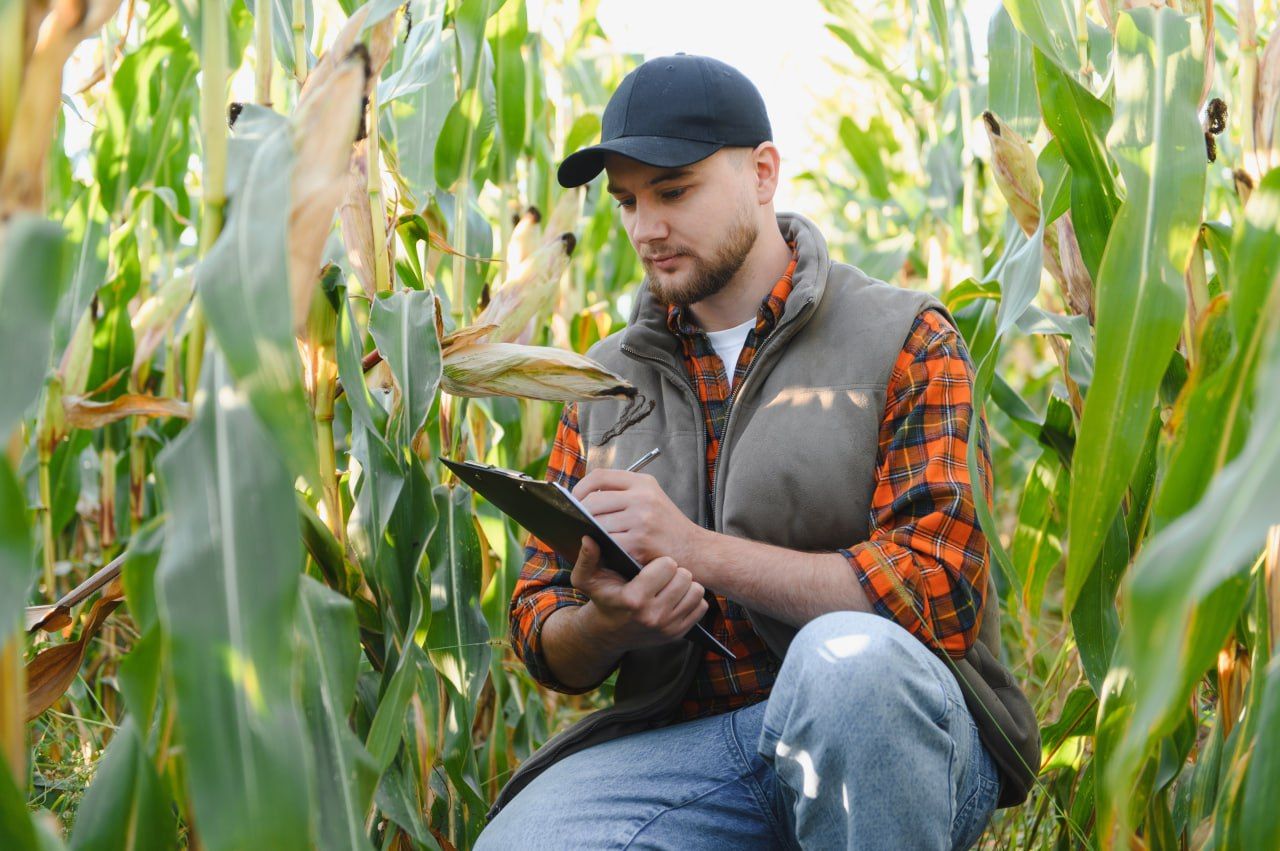 Аграрне планування – ключ до гарного врожаю