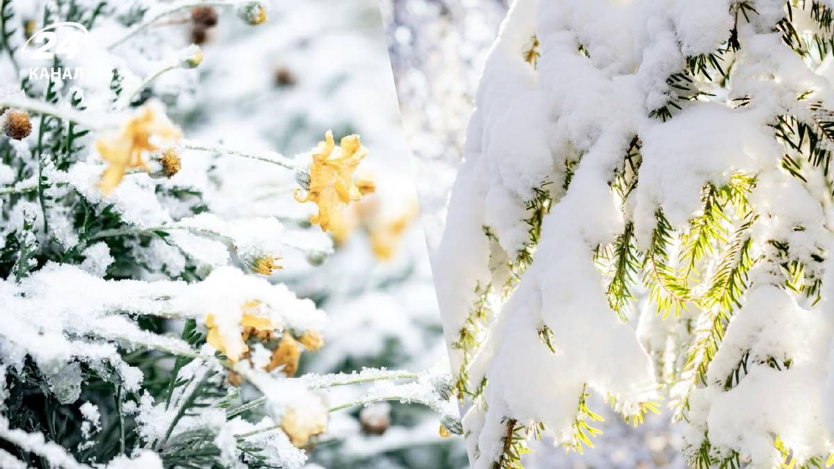 В Украине частично потеплеет - 24 Канал