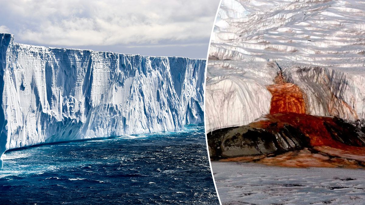 Кривавий водоспад в Антарктиді – вчені розкрили таємницю льодовика Тейлора Кривавий водоспад в Антарктиді – вчені розкрили таємницю льодовика Тейлора