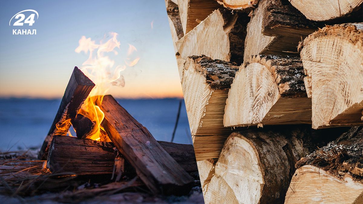 Как разжечь огонь, если все дрова отсырели Как разжечь огонь, если все дрова отсырели