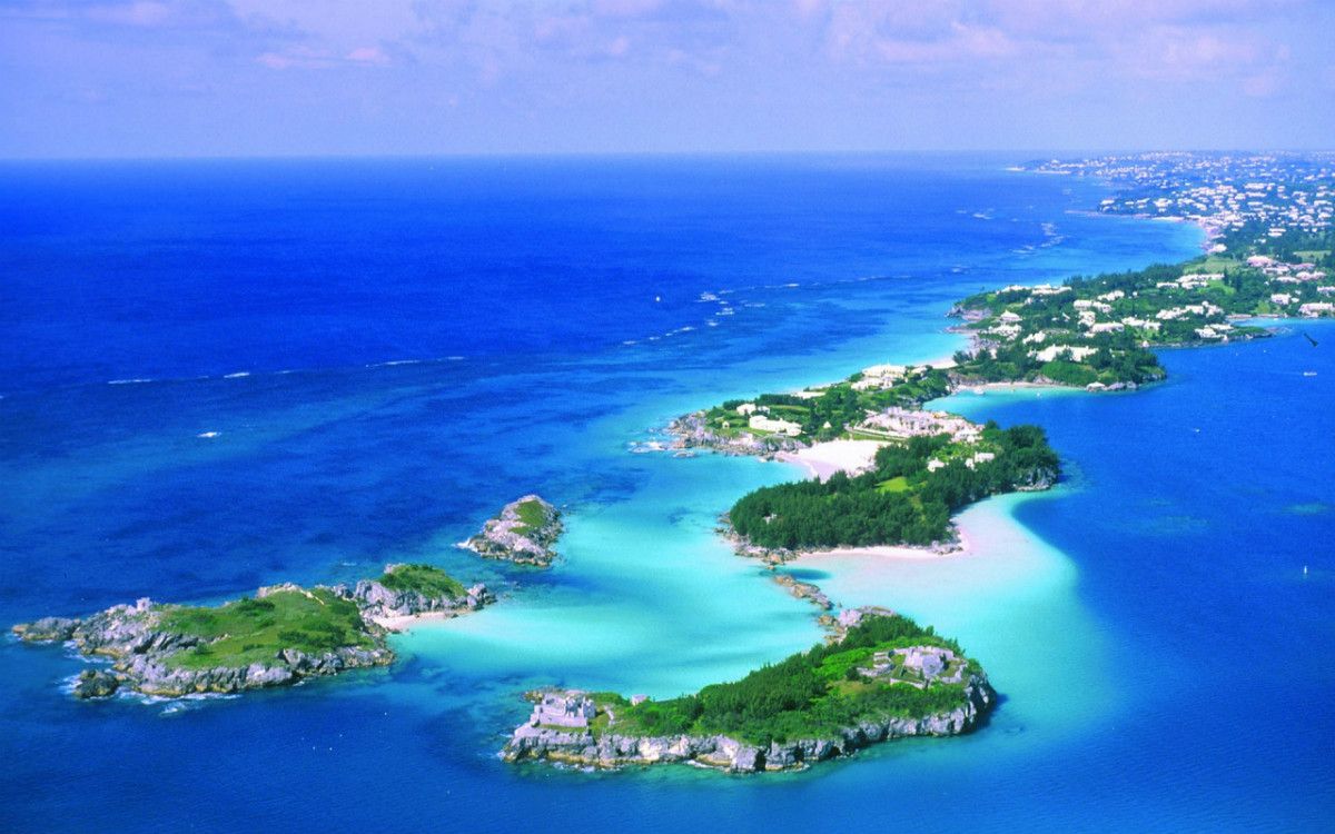 Архивы раскрыли самую древнюю запись "пения" кита Архивы раскрыли самую древнюю запись "пения" кита