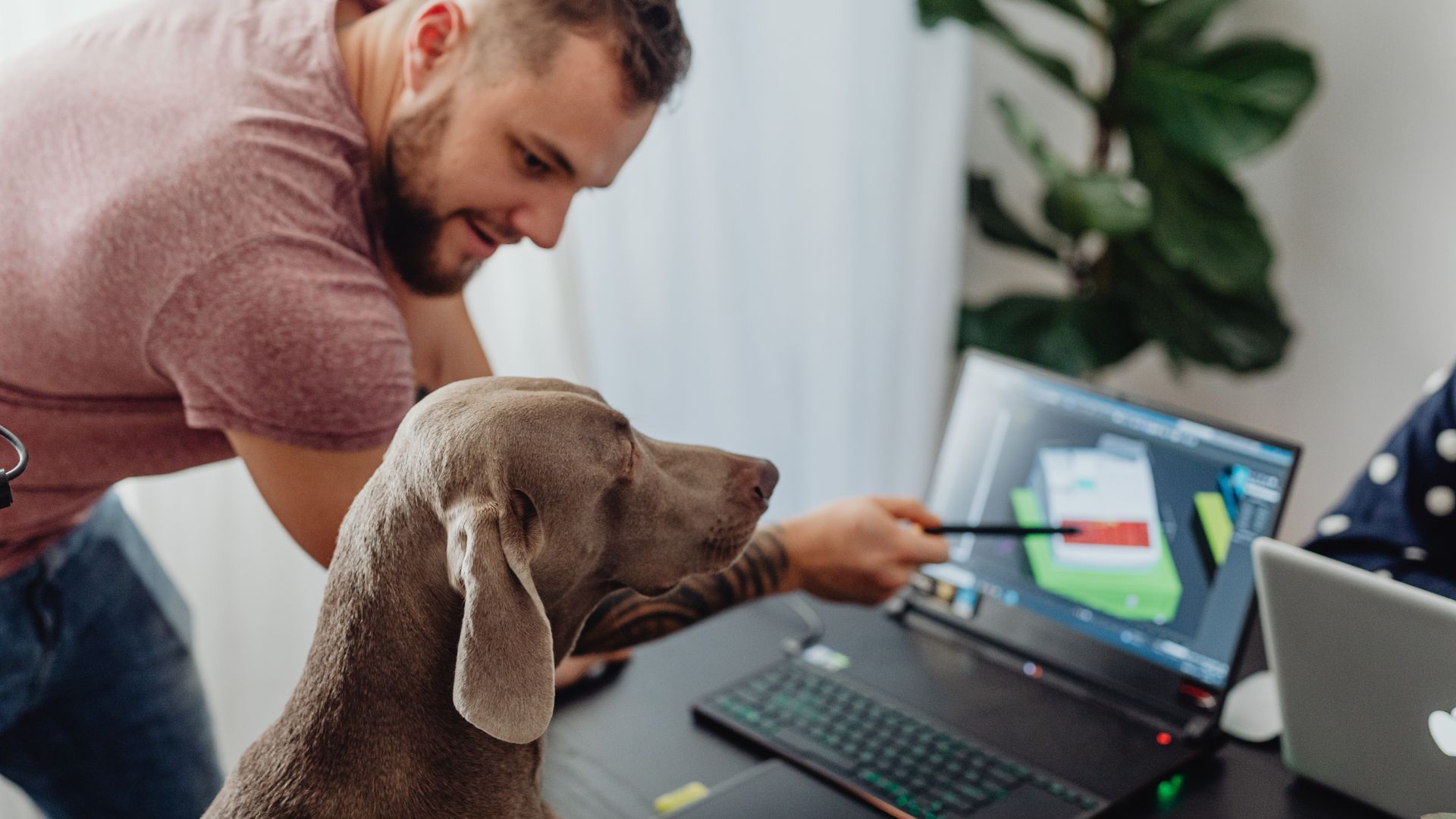 Чи зможе ШІ "перекладати" тваринні звуки