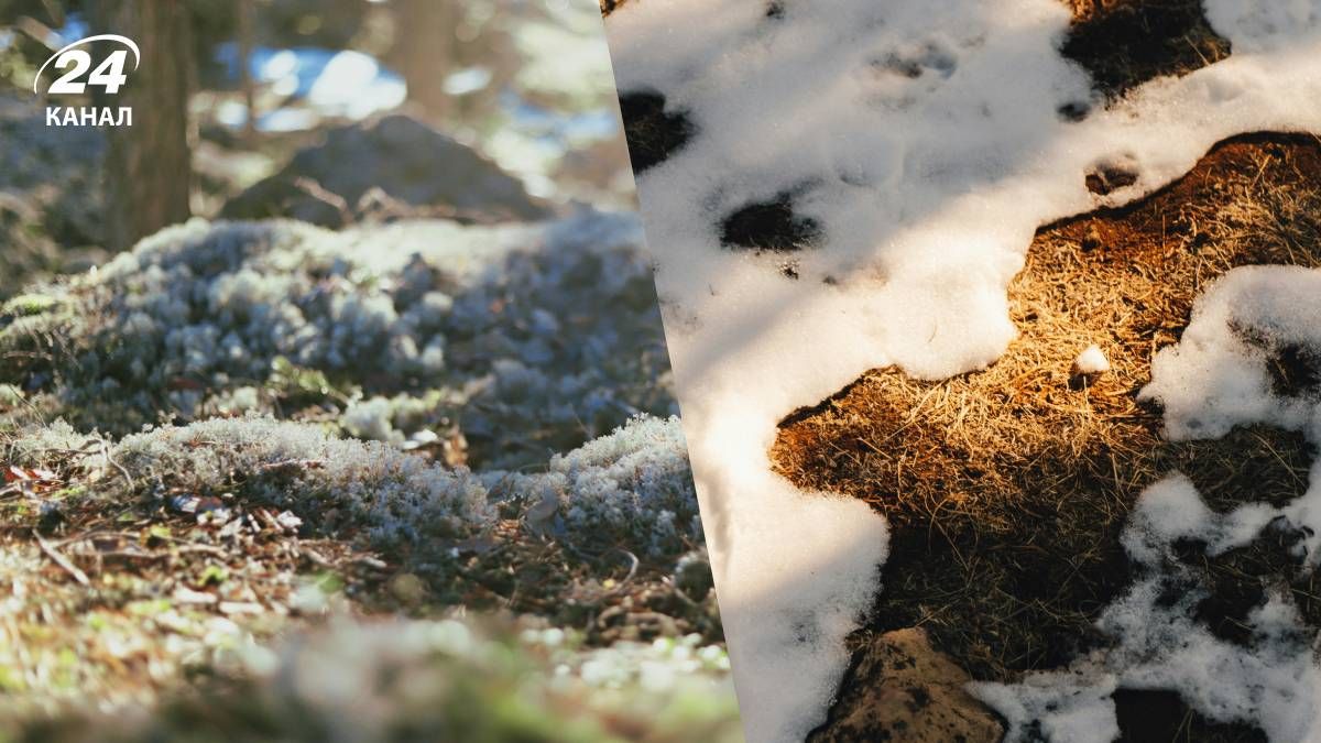 Погода в Украине в ближайшие недели - 24 Канал