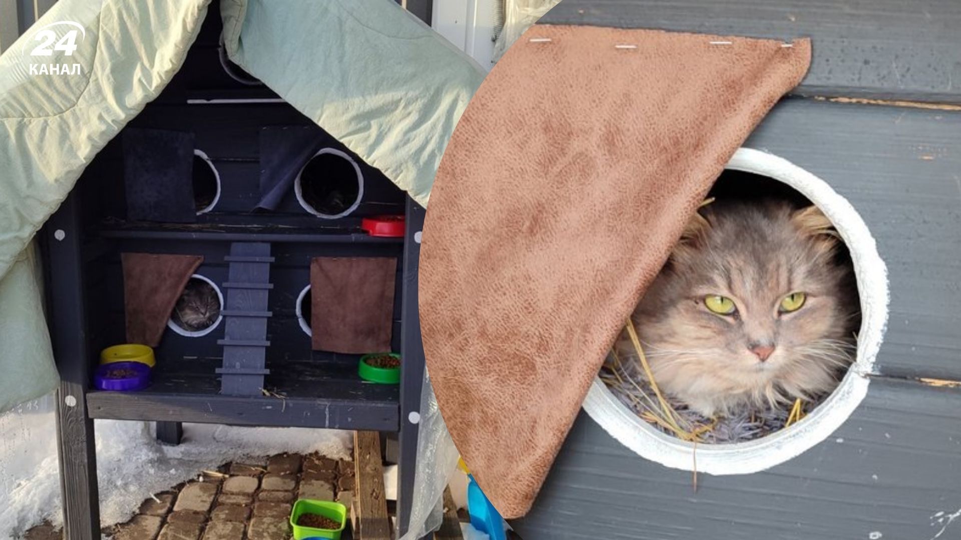 Будиночки для безпритульних тварин з’явилися в Олевську Будиночки для безпритульних тварин з’явилися в Олевську