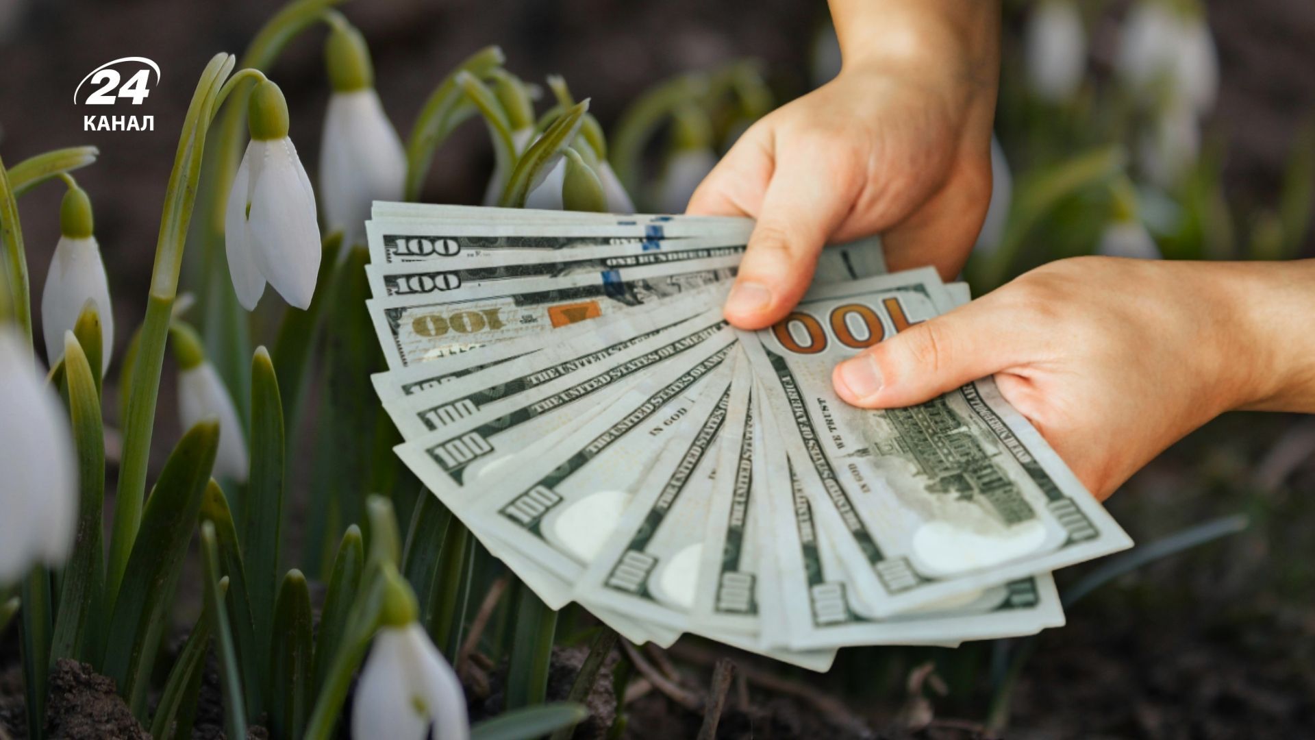 Яким буде курс валют у березні 2026 року