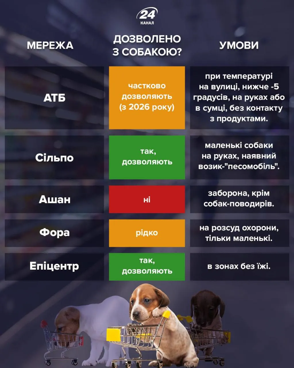 Разрешают ли магазины заходить с собаками? Разрешают ли магазины заходить с собаками?