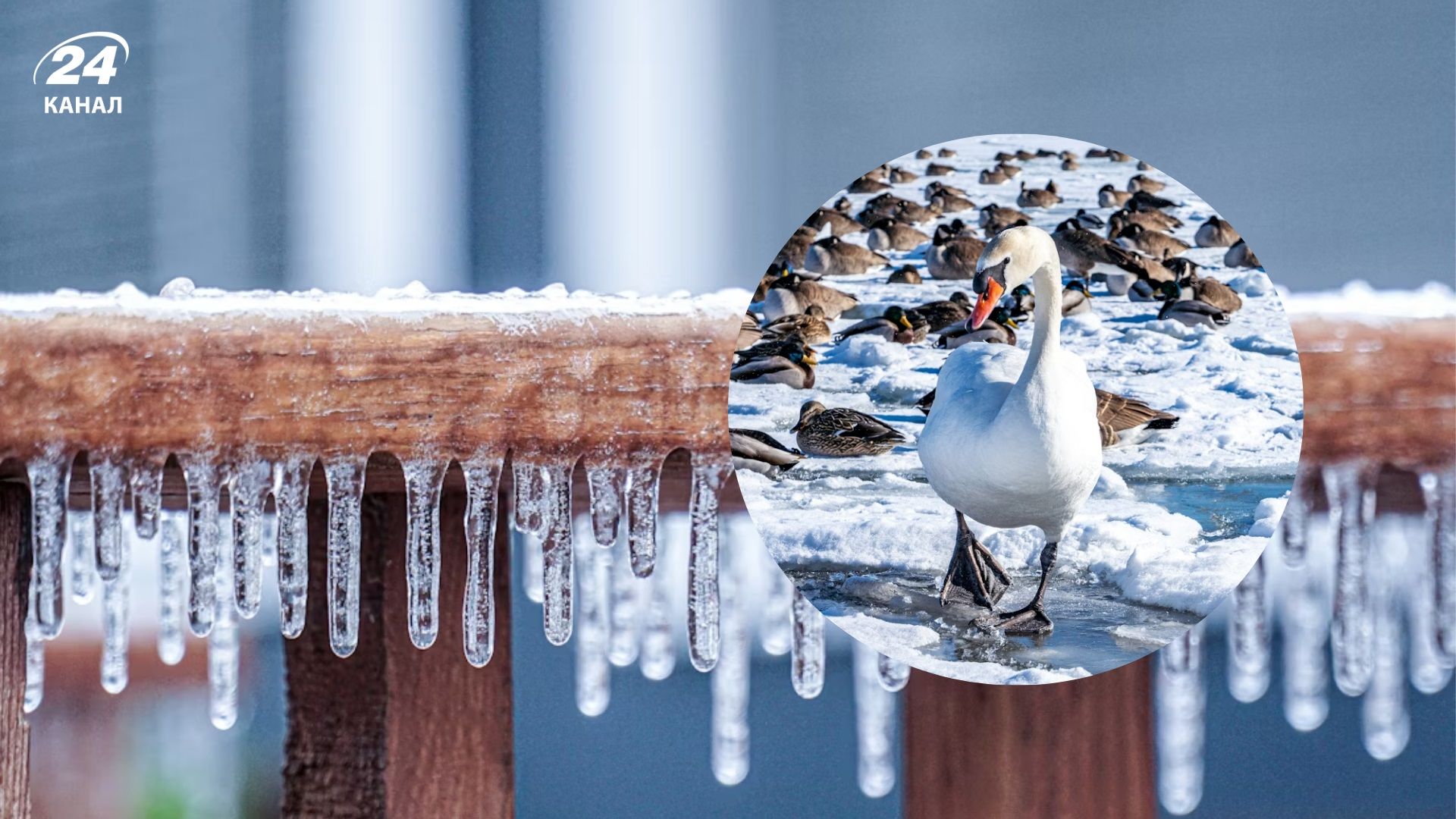 Погода на 24 февраля - 24 Канал Погода на 24 февраля - 24 Канал
