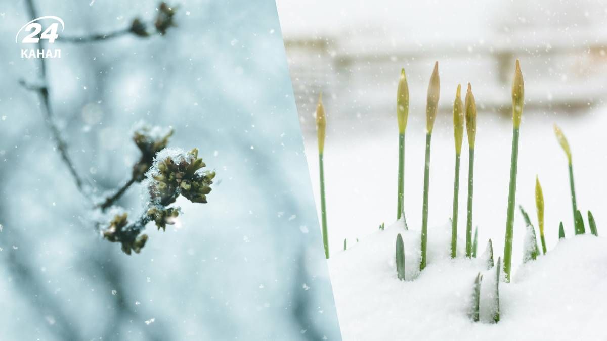 ЯК зміниться погода в Україні - 24 Канал