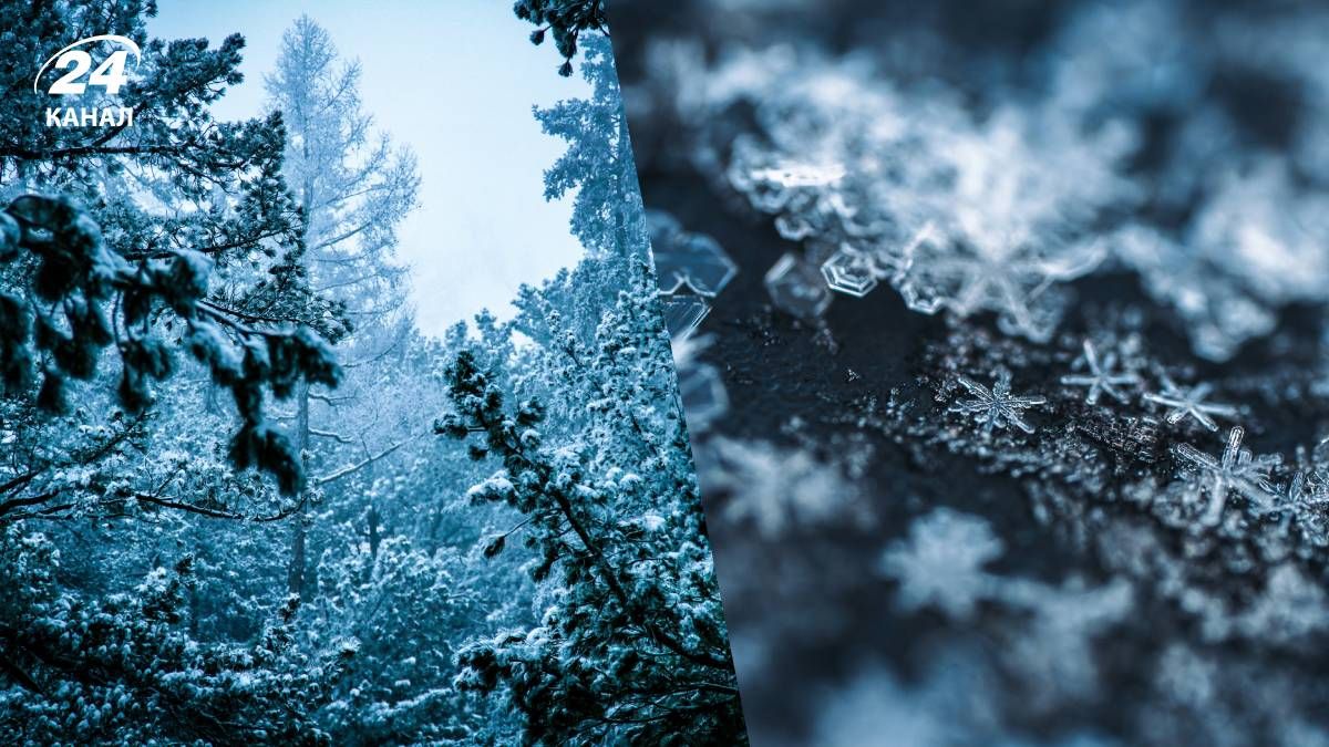 Похолодання в Україні не буде найближчими днями - 24 Канал