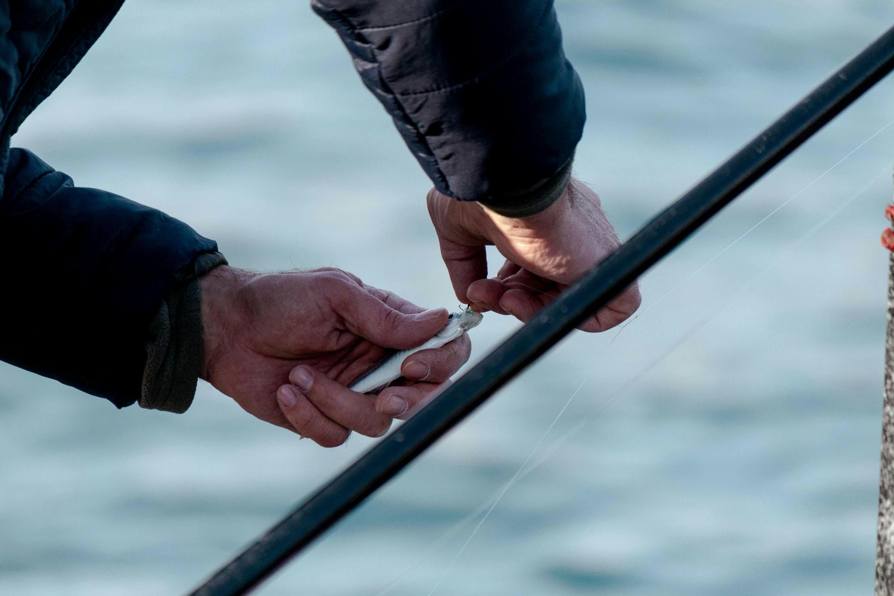 Обмеження для рибалок весною Обмеження для рибалок весною