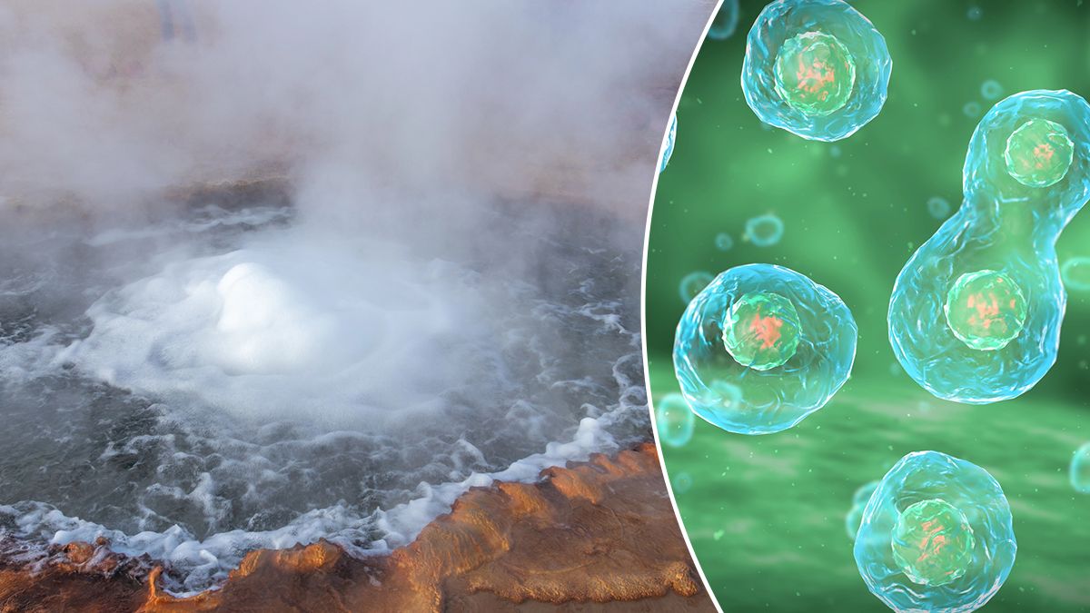 Походження життя на Землі – теорія пребіотичного гелю замість води Походження життя на Землі – теорія пребіотичного гелю замість води