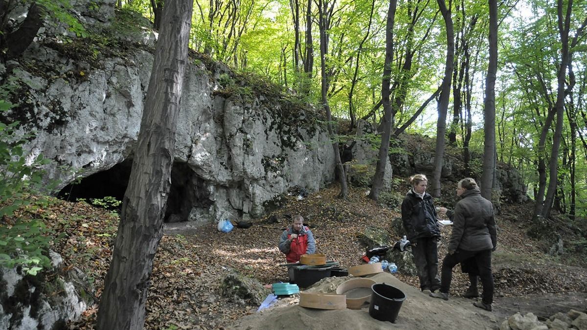 Канібалізм у льодовиковий період – знахідка в печері Польщі 18 000 років тому