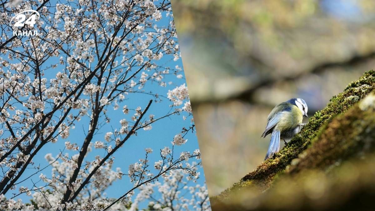 Прогноз погоди на місяць в Україні - 24 Канал Прогноз погоди на місяць в Україні - 24 Канал